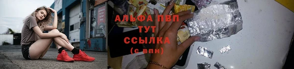 прущие крисы Абаза