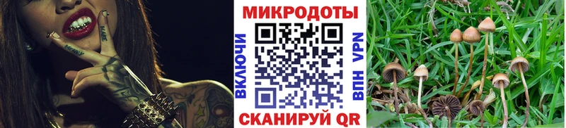 даркнет сайт  Алагир  Псилоцибиновые грибы мицелий 
