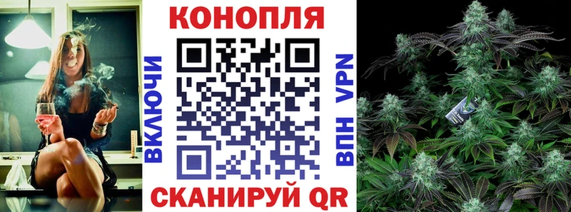 Каннабис план  цена   Алагир 
